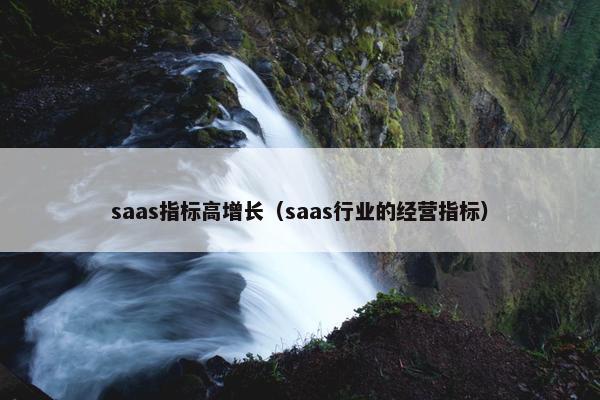 saas指标高增长（saas行业的经营指标）