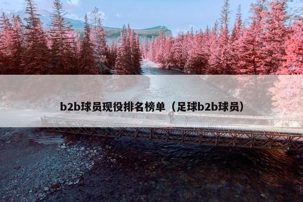b2b球员现役排名榜单（足球b2b球员）