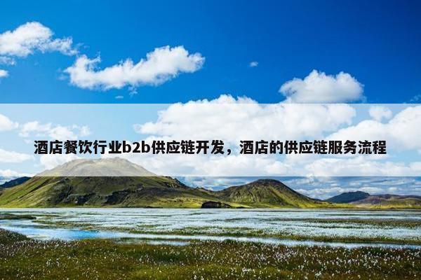 酒店餐饮行业b2b供应链开发，酒店的供应链服务流程