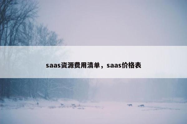 saas资源费用清单，saas价格表
