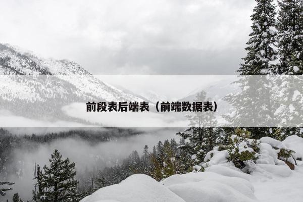 前段表后端表（前端数据表）