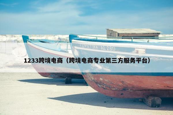 1233跨境电商（跨境电商专业第三方服务平台）