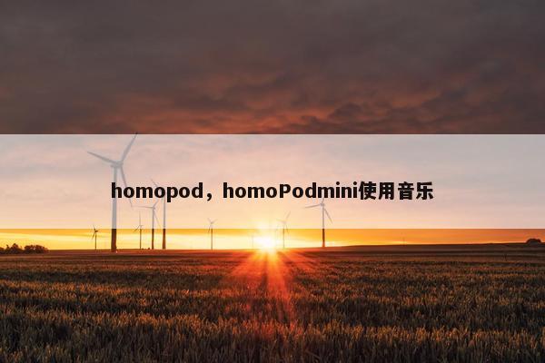 homopod，homoPodmini使用音乐
