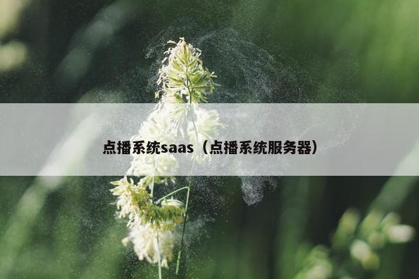 点播系统saas（点播系统服务器）