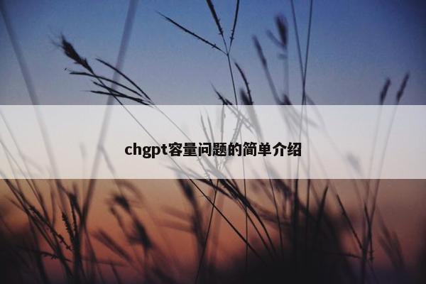chgpt容量问题的简单介绍