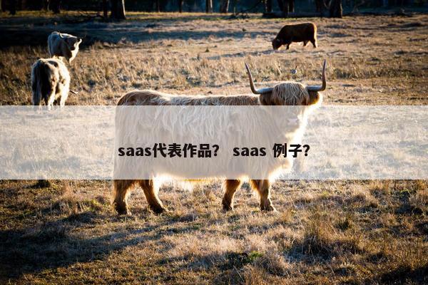 saas代表作品？ saas 例子？
