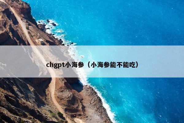 chgpt小海参（小海参能不能吃）
