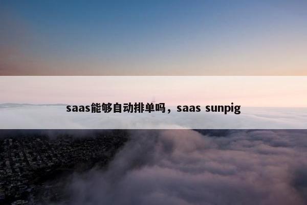 saas能够自动排单吗，saas sunpig