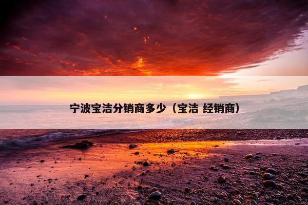 宁波宝洁分销商多少(宝洁 经销商)