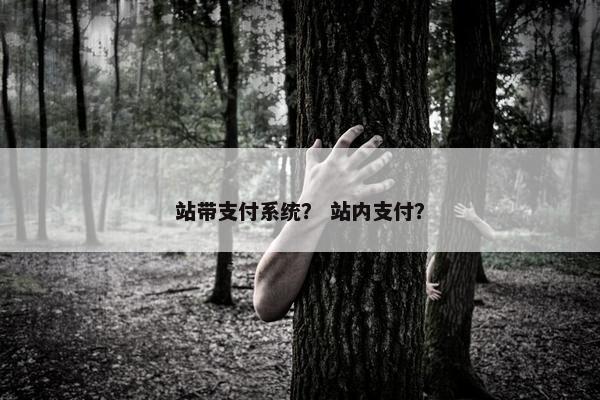 站带支付系统？ 站内支付？