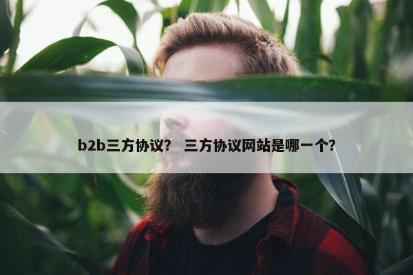b2b三方协议？ 三方协议网站是哪一个？