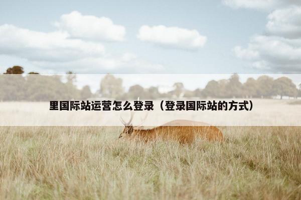 里国际站运营怎么登录(登录国际站的方式) 里国际站运营怎么登录(登录国际站的方式)