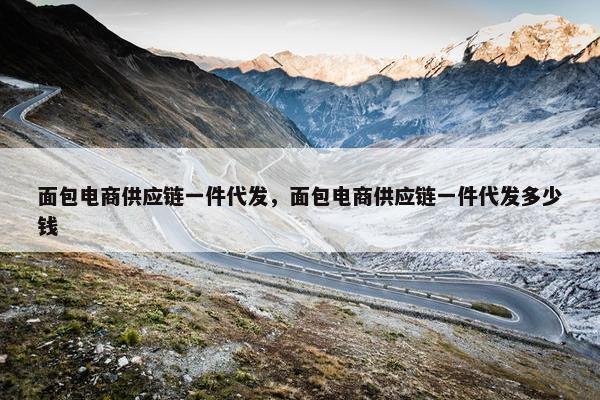 面包电商供应链一件代发，面包电商供应链一件代发多少钱