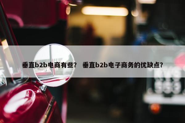 垂直b2b电商有些？ 垂直b2b电子商务的优缺点？