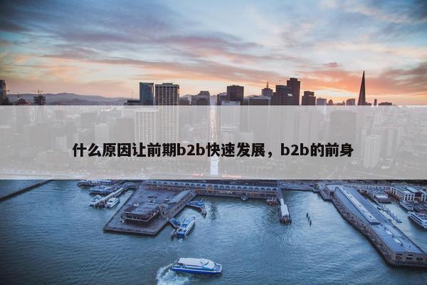 什么原因让前期b2b快速发展，b2b的前身
