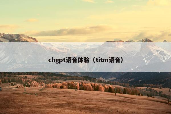 chgpt语音体验（titm语音）