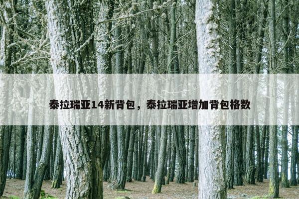 泰拉瑞亚14新背包，泰拉瑞亚增加背包格数