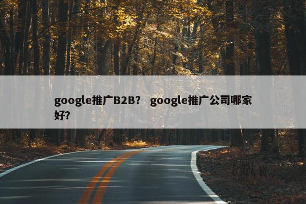 google推广B2B？ google推广公司哪家好？