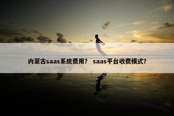 内蒙古saas系统费用？ saas平台收费模式？