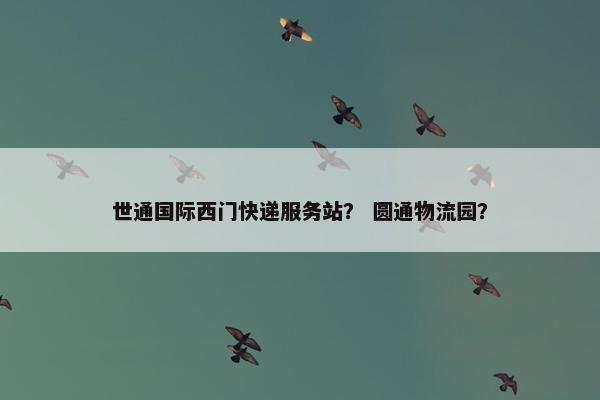 世通国际西门快递服务站? 圆通物流园?