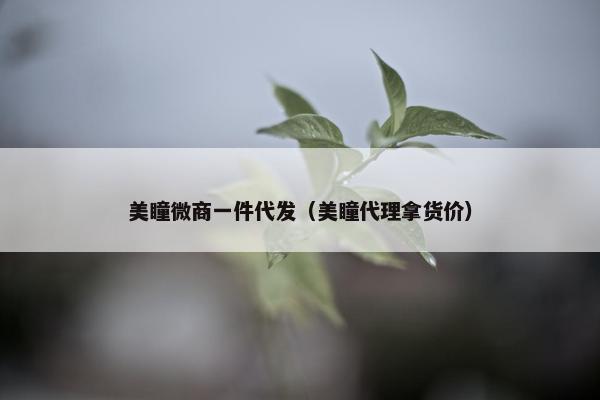 美瞳微商一件代发（美瞳代理拿货价）