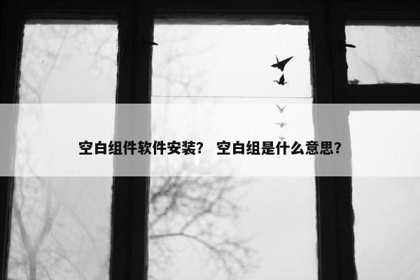 空白组件软件安装? 空白组是什么意思?