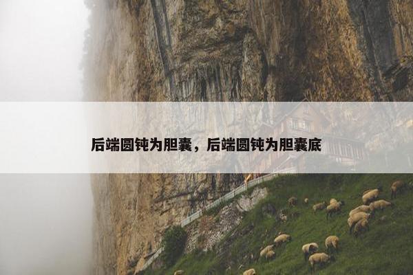 后端圆钝为胆囊,后端圆钝为胆囊底