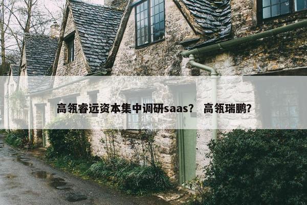 高瓴睿远资本集中调研saas？ 高瓴瑞鹏？