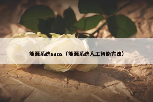 能源系统saas（能源系统人工智能方法）