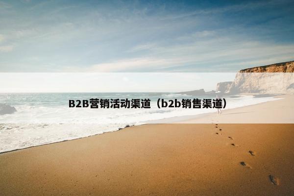 B2B营销活动渠道（b2b销售渠道）