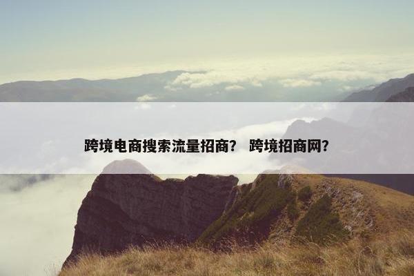 跨境电商搜索流量招商？ 跨境招商网？