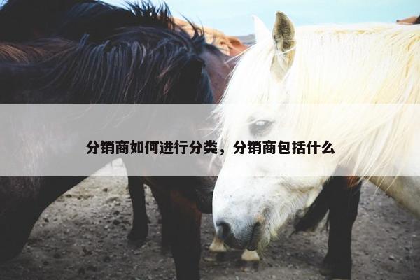 分销商如何进行分类，分销商包括什么