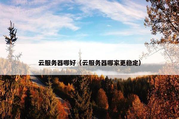 云服务器哪好(云服务器哪家更稳定) 云服务器哪好(云服务器哪家更稳定)