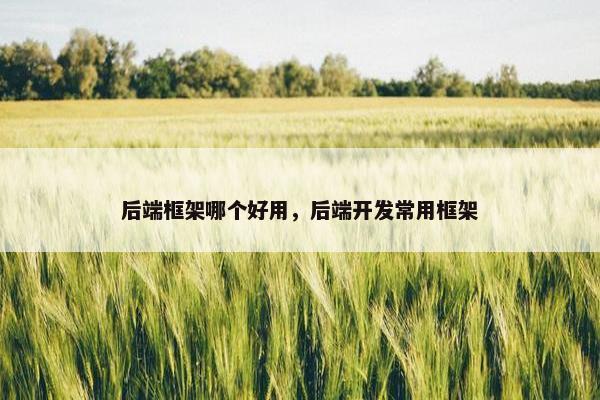 后端框架哪个好用，后端开发常用框架