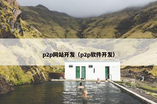 p2p网站开发（p2p软件开发）