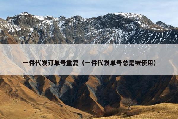 一件代发订单号重复（一件代发单号总是被使用）
