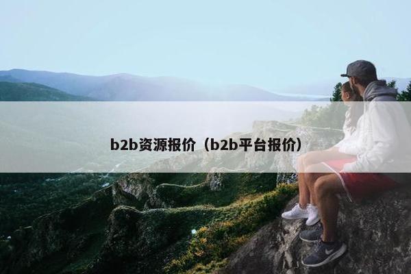 b2b资源报价（b2b平台报价）