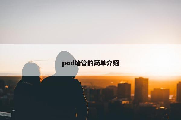 pod堵管的简单介绍