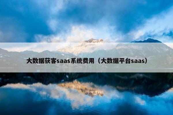 大数据获客saas系统费用（大数据平台saas）