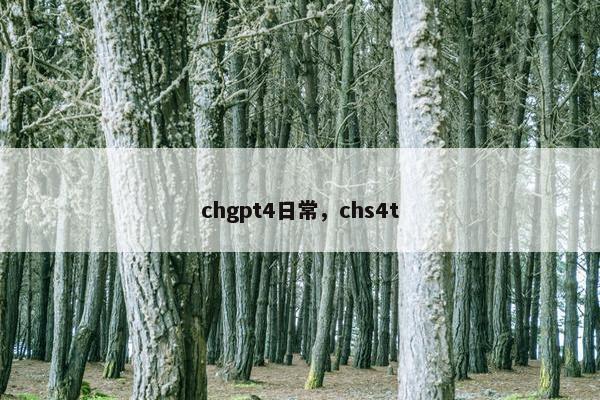 chgpt4日常，chs4t