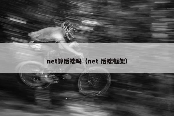 net算后端吗（net 后端框架）