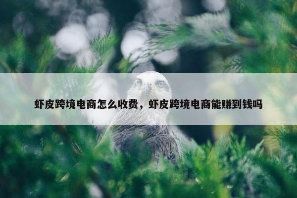 虾皮跨境电商怎么收费，虾皮跨境电商能赚到钱吗