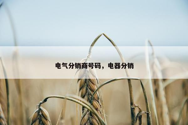 电气分销商号码，电器分销