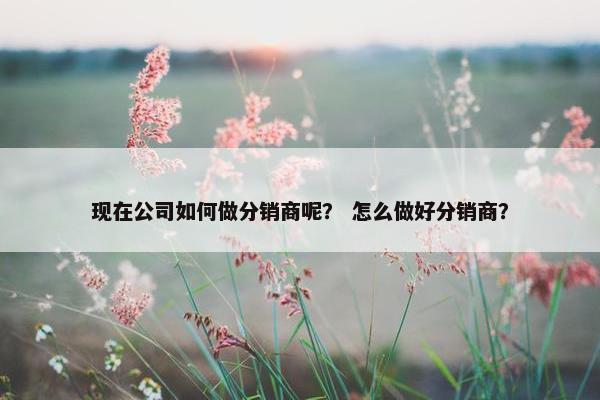现在公司如何做分销商呢？ 怎么做好分销商？