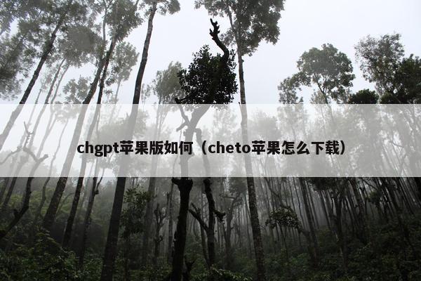 chgpt苹果版如何（cheto苹果怎么下载）