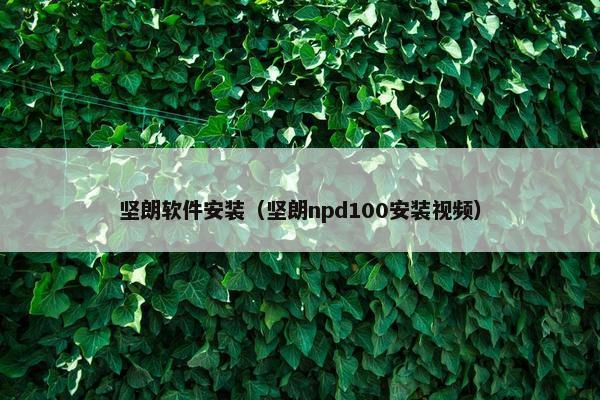 坚朗软件安装（坚朗npd100安装视频）