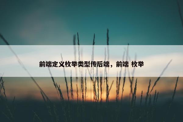 前端定义枚举类型传后端，前端 枚举