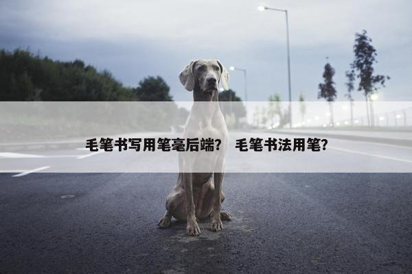 毛笔书写用笔毫后端？ 毛笔书法用笔？