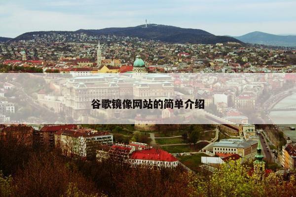 谷歌镜像网站的简单介绍