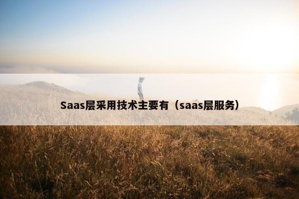 Saas层采用技术主要有（saas层服务）